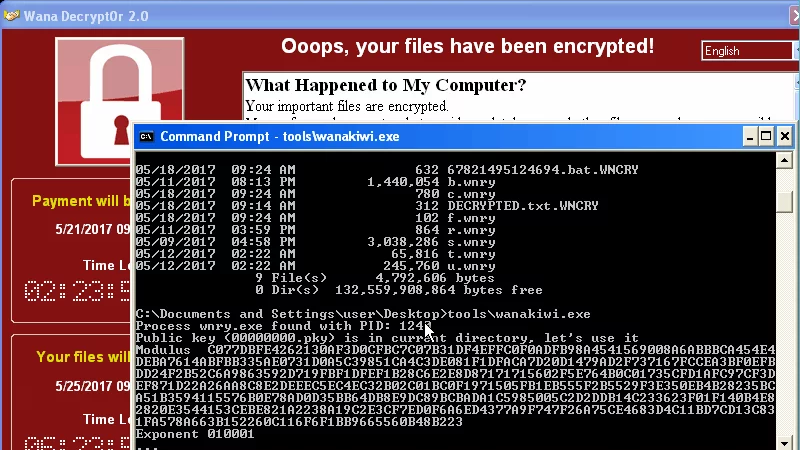 Ransomware cơ chế