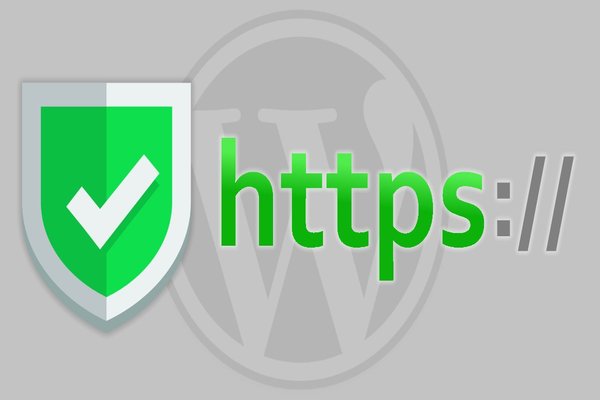 SSL lợi thế trong SEO